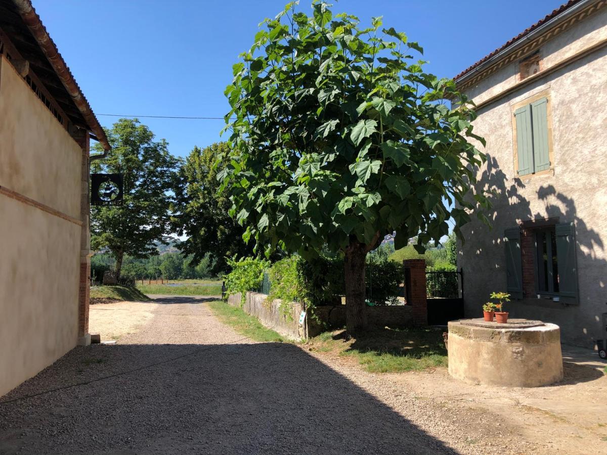 Gite A La Ferme De Verdurette Cordes-Sur-Ciel Zewnętrze zdjęcie