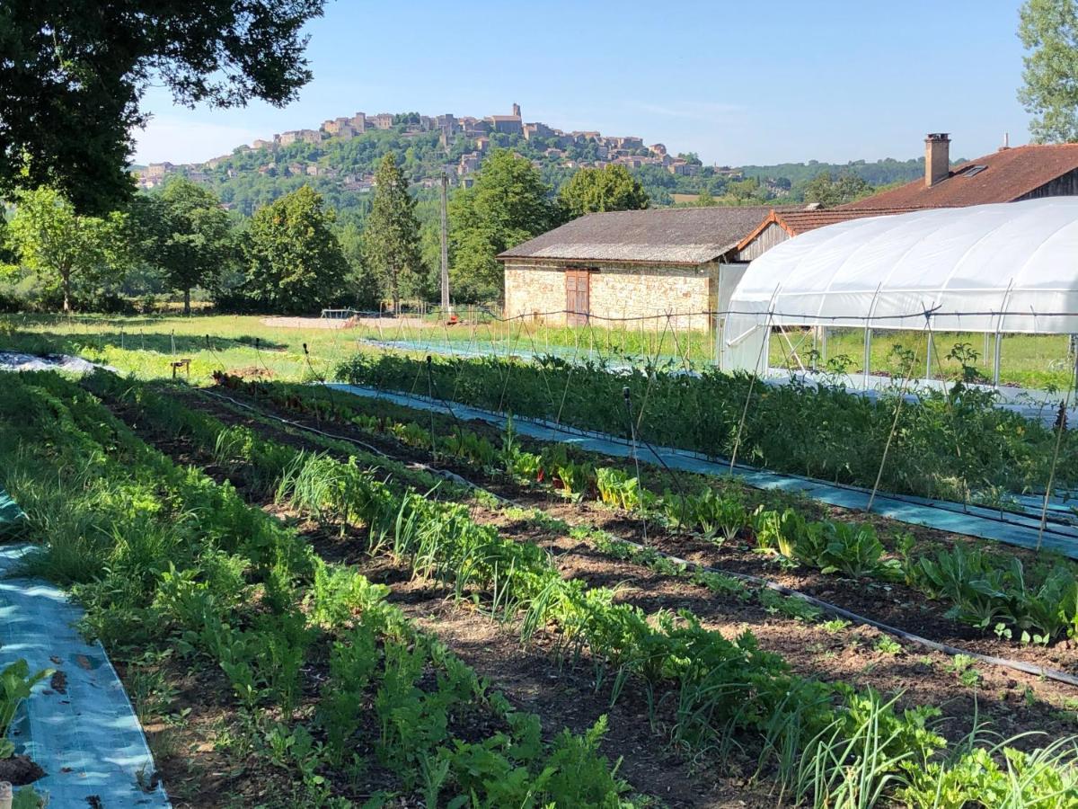 Gite A La Ferme De Verdurette Cordes-Sur-Ciel Zewnętrze zdjęcie
