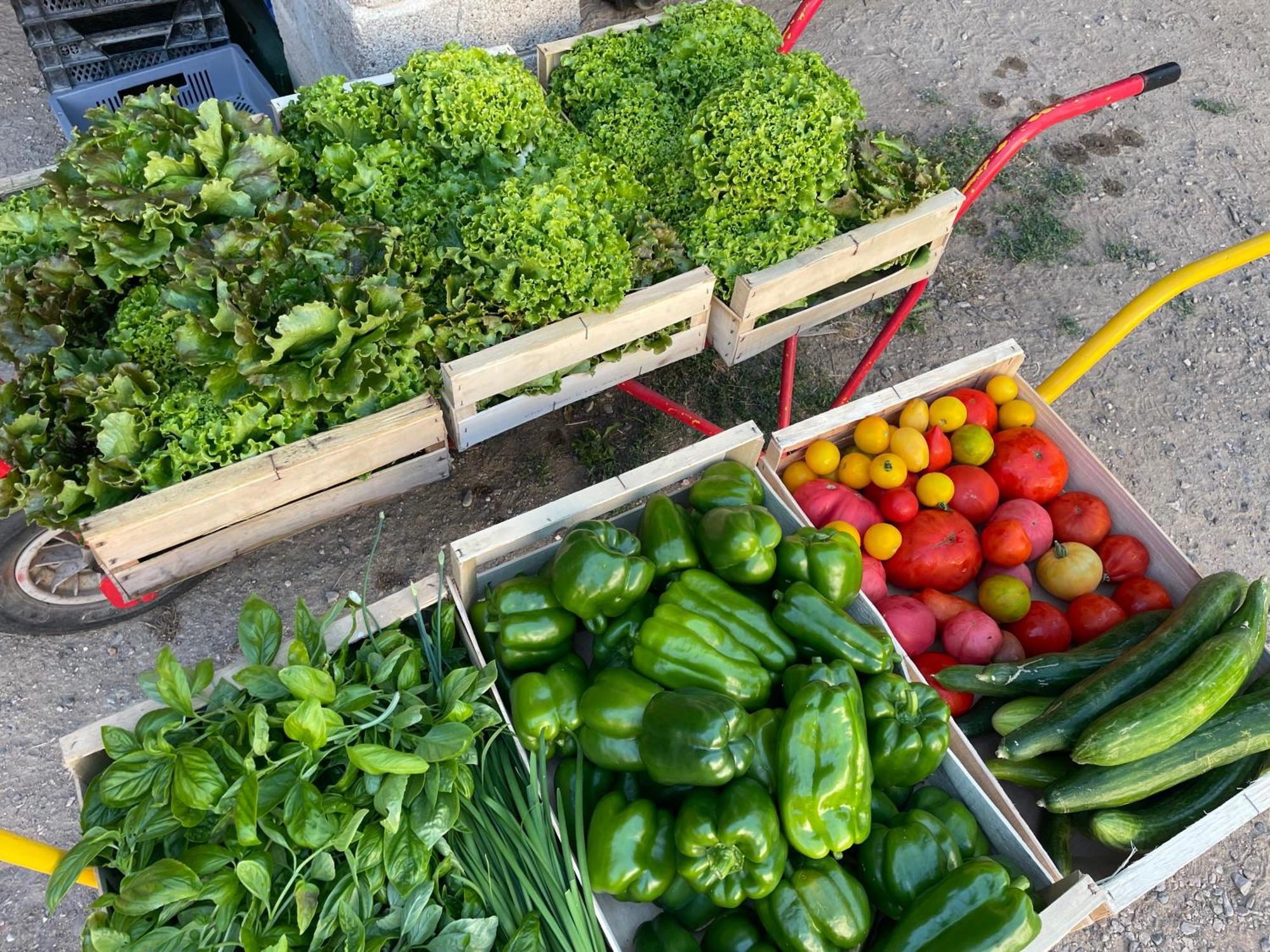Gite A La Ferme De Verdurette Cordes-Sur-Ciel Zewnętrze zdjęcie